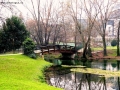 Prossima Foto: Ponte del mio desiderio!