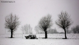 Prossima Foto: Nevicata in campagna