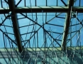 Prossima Foto: Lucciole blu...