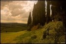 Foto Precedente: campagna pisana al tramonto