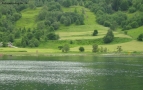 Prossima Foto: mare verde di norvegia