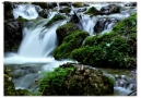 Prossima Foto: Rapide