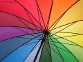 Prossima Foto: umbrainbow