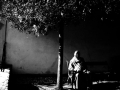 Prossima Foto: vita in penombra...