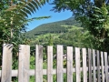 Prossima Foto: paesaggio1