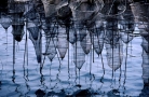 Prossima Foto: Nasse a Clusane
