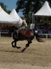 Prossima Foto: maremma!