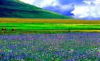 Prossima Foto: castelluccio