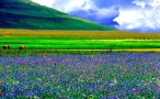 Foto Precedente: castelluccio