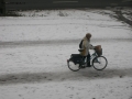 Foto Precedente: Donna in bicicletta