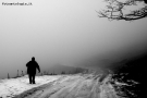 Prossima Foto: Chissa dove...