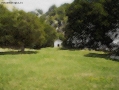 Foto Precedente: natura come sei bella