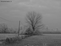 Prossima Foto: Gelo
