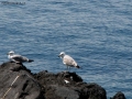 Prossima Foto: relax in mezzo al mare