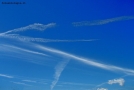 Prossima Foto: Virgole nel cielo...