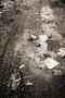 Prossima Foto: particolare d'autunno