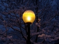 Foto Precedente: CUFFIA SUL LAMPIONE