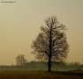 Foto Precedente: Foggy morning...