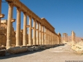 Prossima Foto: Palmira