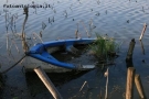 Foto Precedente: barca abbandonata