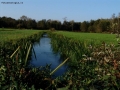 Foto Precedente: ACQUA TRA I CAMPI