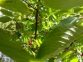 Prossima Foto: colore