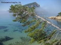 Foto Precedente: Fra terra e mare.