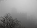 Foto Precedente: Nebbia