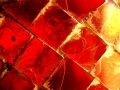Prossima Foto: Red passion