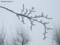 Foto Precedente: A passeggio con la neve