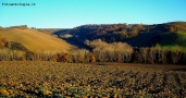 Prossima Foto: Le zolle