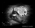 Prossima Foto: La Tristezza Oltre La Rete