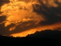 Foto Precedente: pi che un tramonto...un incendio di colore