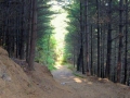 Prossima Foto: Monte Aronne