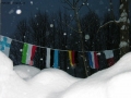Prossima Foto: L'Europa sotto la neve