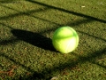 Prossima Foto: Palla da tennis