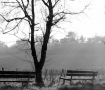Prossima Foto: Senza titolo
