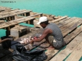 Prossima Foto: Pescatore al lavoro