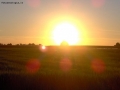 Foto Precedente: L'abbraccio del sole