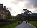 Prossima Foto: a passeggio nel parco