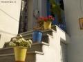 Foto Precedente: colori di grecia 4
