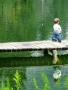 Prossima Foto: cucciolo di pescatore