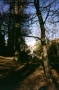 Prossima Foto: Parco di Monza al crepuscolo