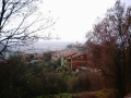 Foto Precedente: un pomeriggio d'autunno tra i boschi