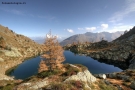 Foto Precedente: Lago Lavazza