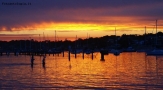 Prossima Foto: cronulla beach