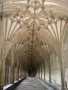Foto Precedente: Chiostro della cattedrale di Cantherbury
