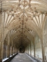 Prossima Foto: Chiostro della cattedrale di Cantherbury