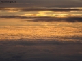 Prossima Foto: in volo