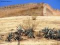 Prossima Foto: L'Andalusia